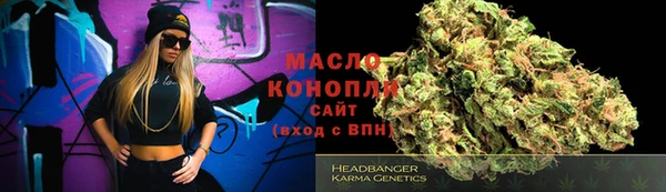 мет Елабуга
