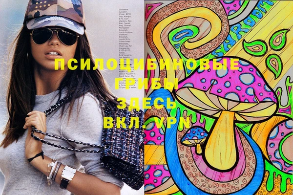 мет Елабуга