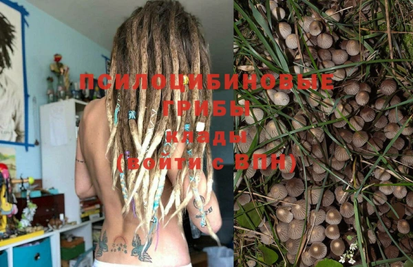 бутират Елизово