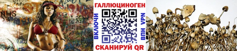 Галлюциногенные грибы Cubensis  Перевоз 