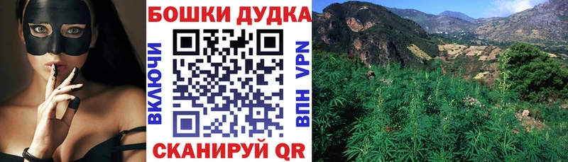 купить Перевоз Бошки марихуана семена